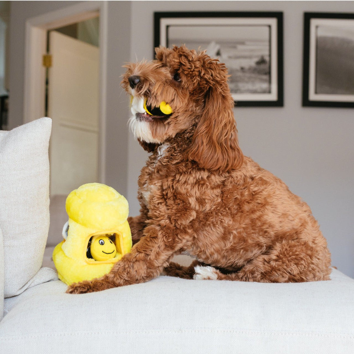 Hide A Toy Plush Puzzle Toy - Eva Pet - Outward Hound