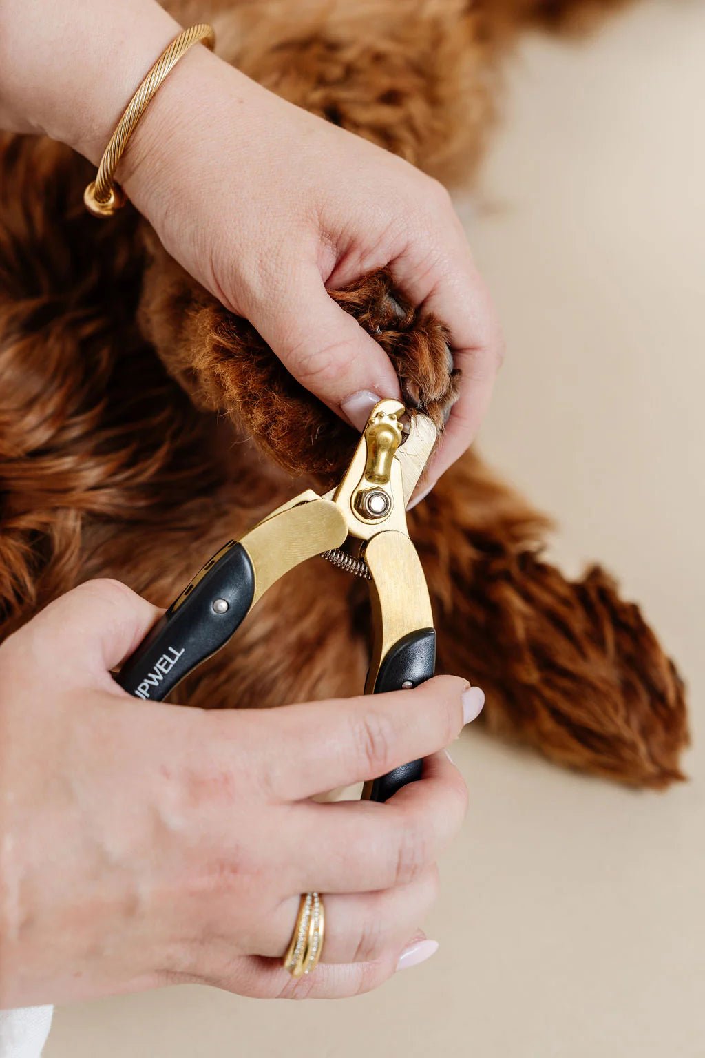 Iconic Nail Duo - Eva Pet - Pupwell