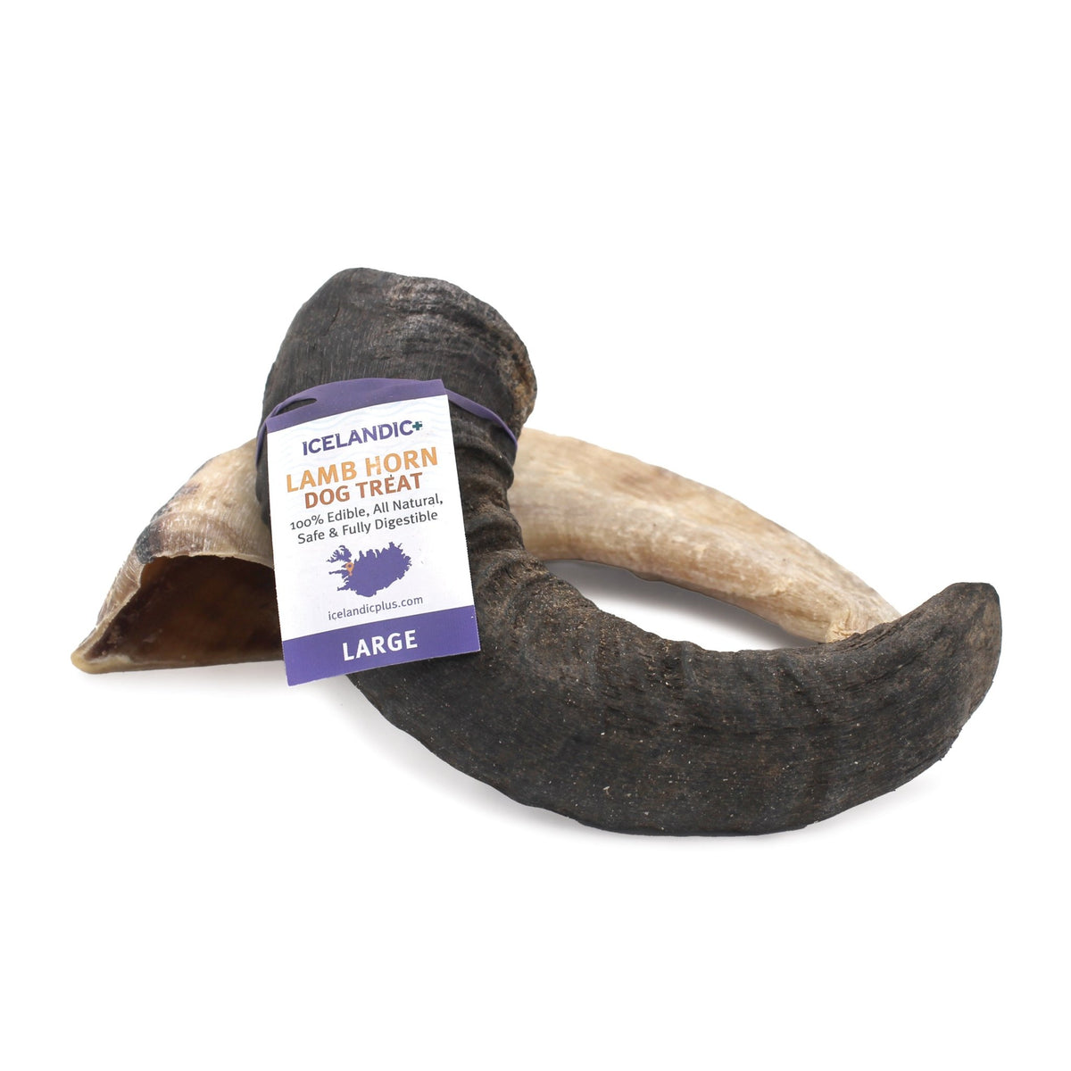 Large Lamb Horn Dog Chew - Eva Pet - Icelandic+
