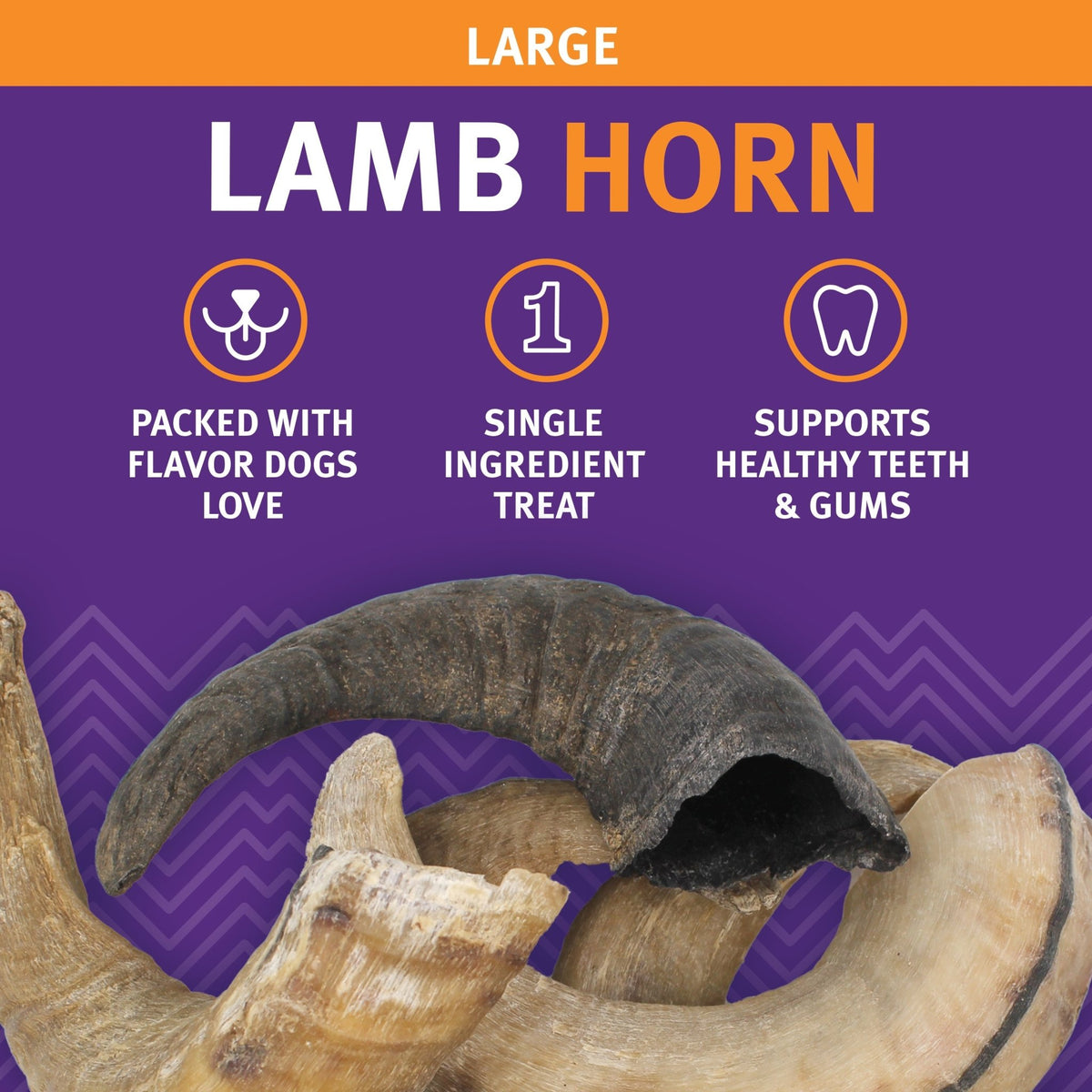 Large Lamb Horn Dog Chew - Eva Pet - Icelandic+