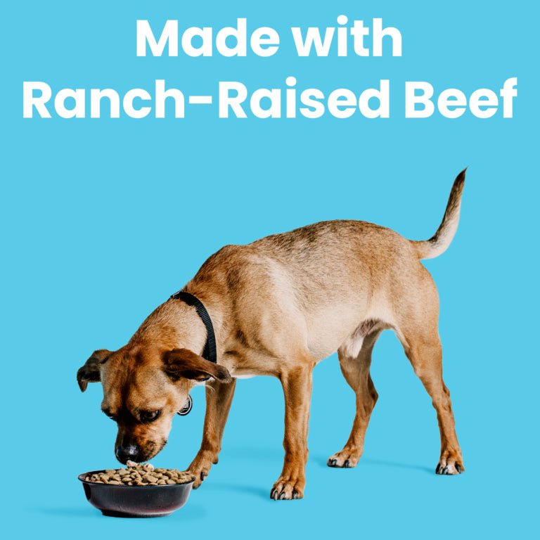 Liberty® Dry Food for Dogs – Beef Recipe - Eva Pet - Bixbi
