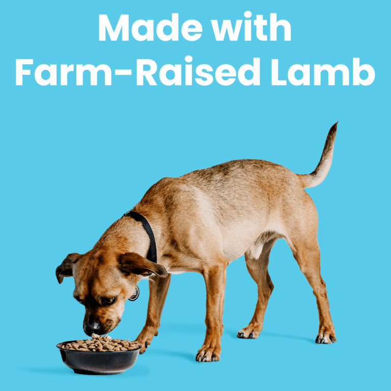 Liberty® Dry Food for Dogs – Lamb Recipe - Eva Pet - Bixbi