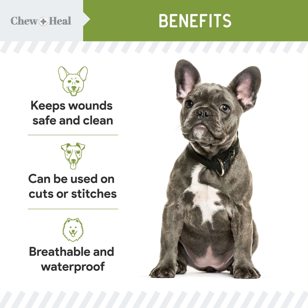 Liquid Bandage for Dogs - Eva Pet - Chew + Heal
