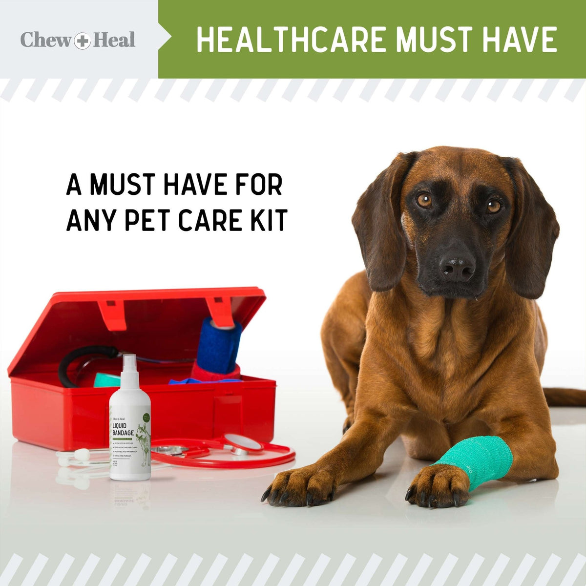 Liquid Bandage for Dogs - Eva Pet - Chew + Heal