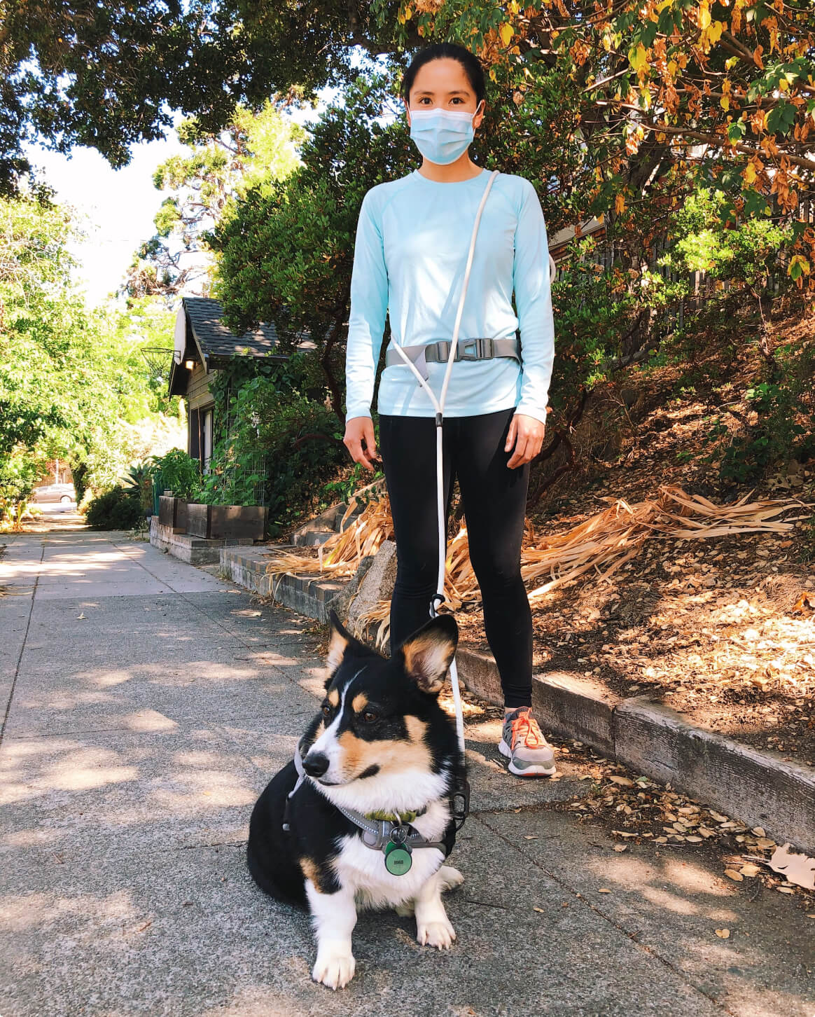 Magic Link® - Eva Pet - Fable Pets