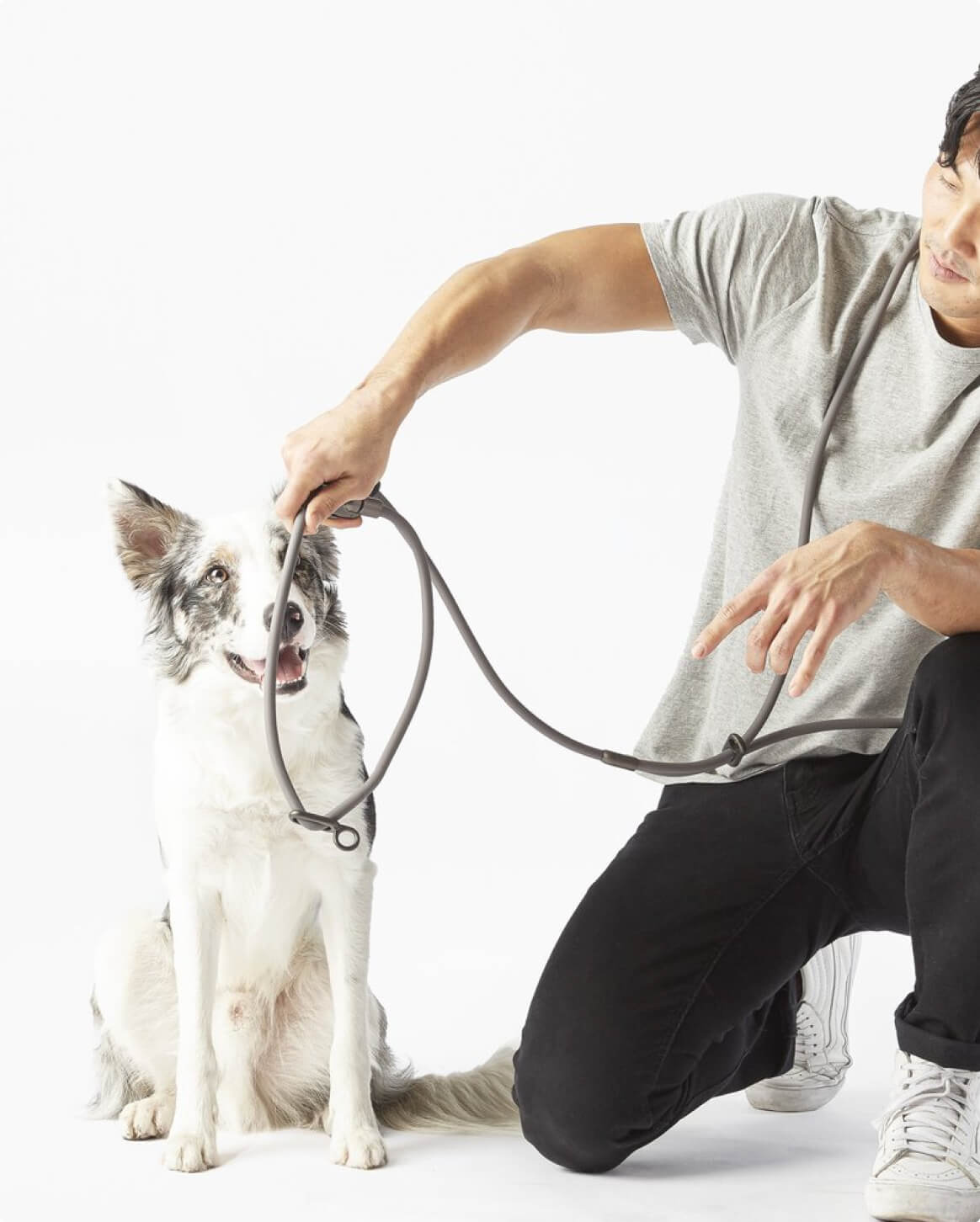 Magic Link® - Eva Pet - Fable Pets