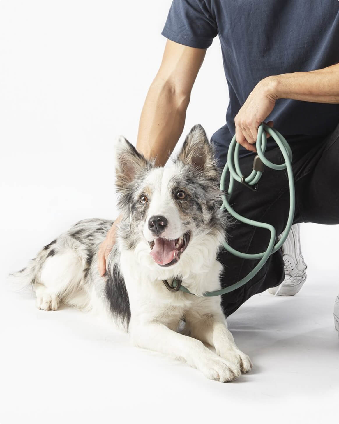 Magic Link® - Eva Pet - Fable Pets