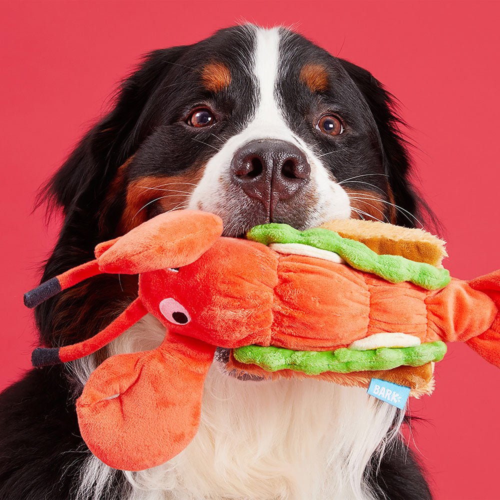 Max's Maine Lobster Roll - Eva Pet - BARK