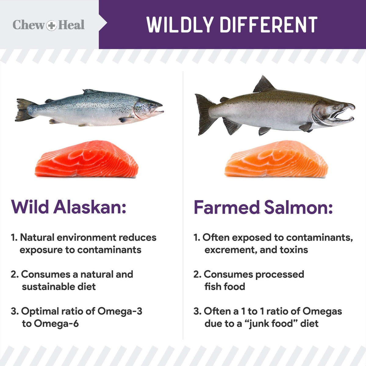 Mobility Wild Alaskan Salmon Limited Ingredient Soft Jerky Dog Treats - Eva Pet - Chew + Heal