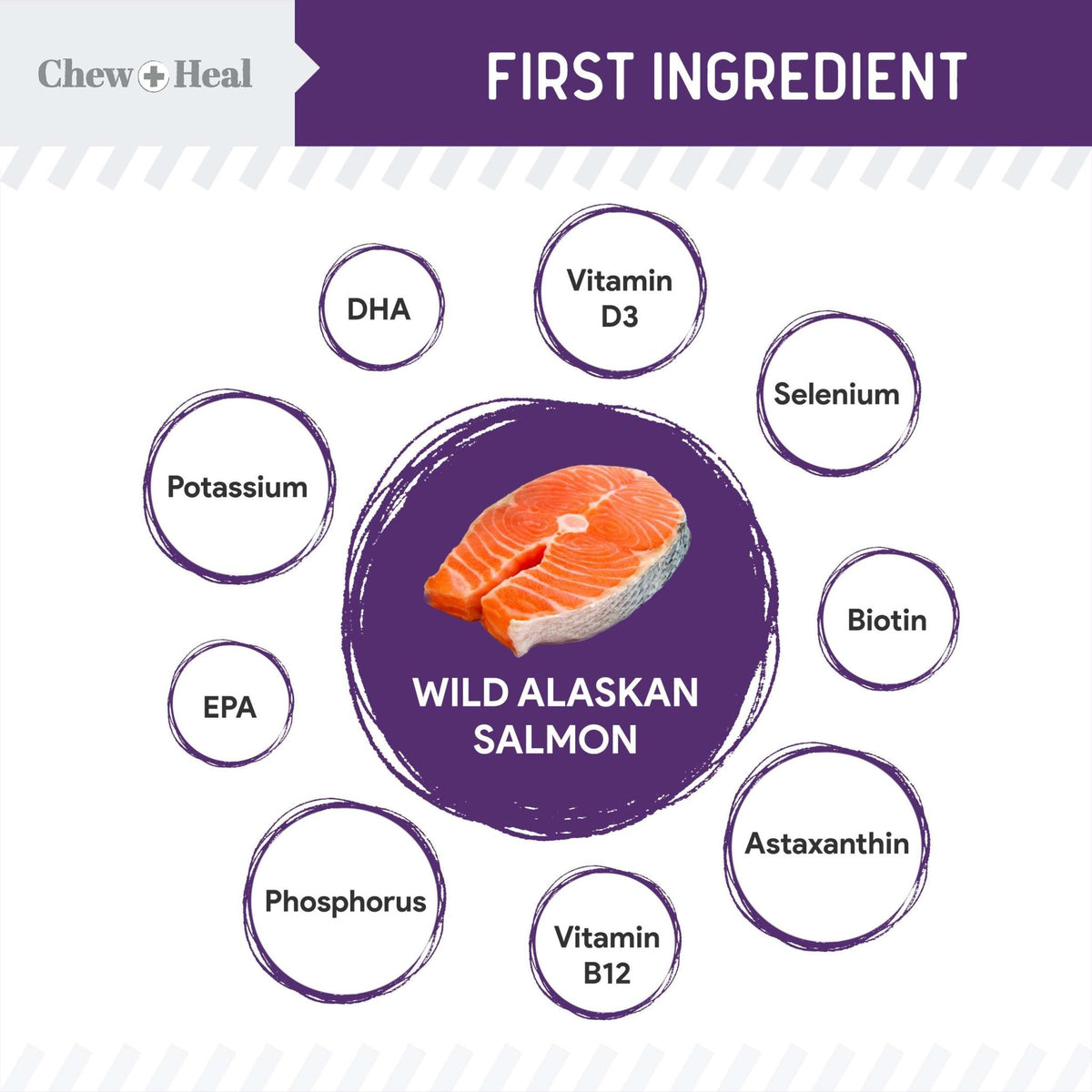 Mobility Wild Alaskan Salmon Limited Ingredient Soft Jerky Dog Treats - Eva Pet - Chew + Heal