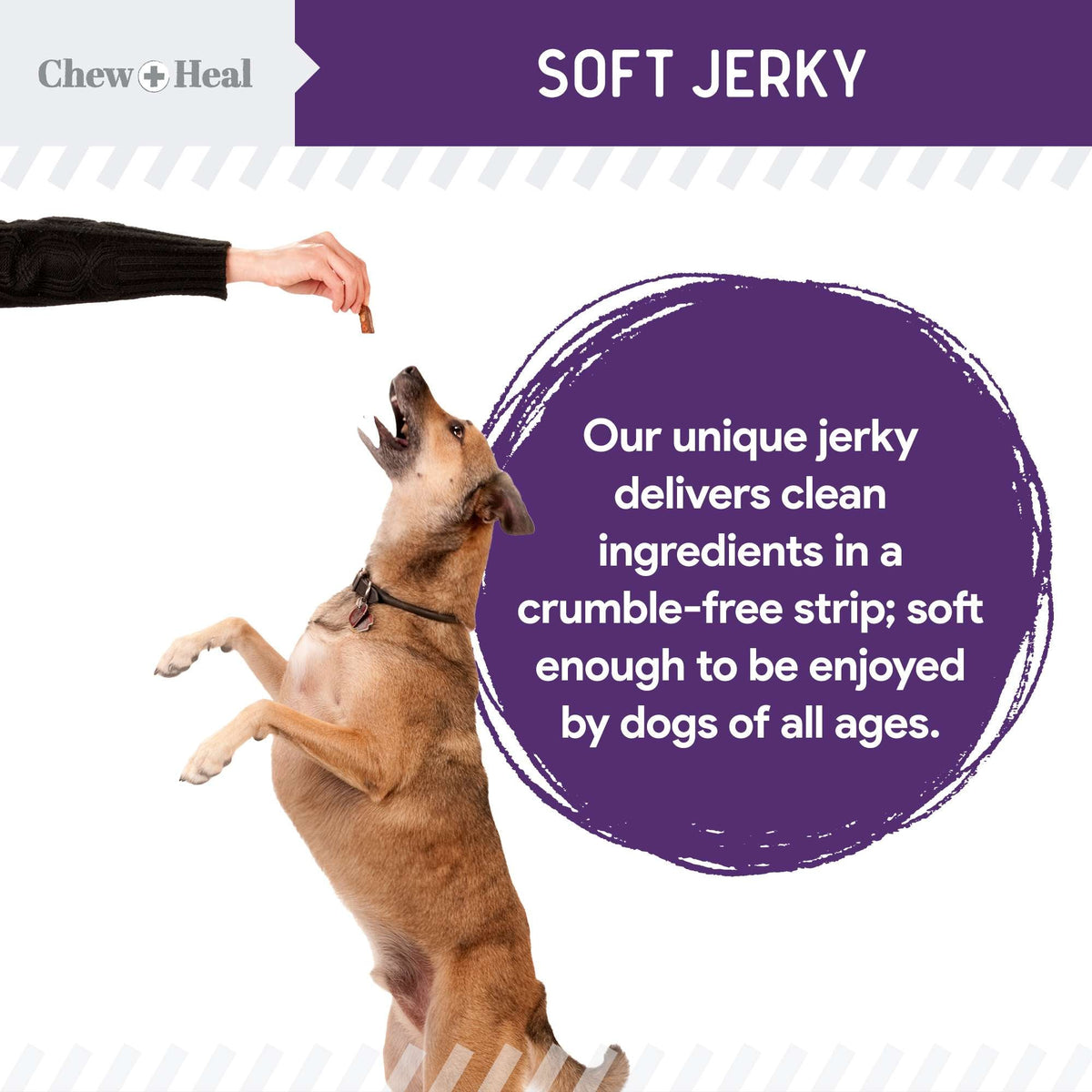 Mobility Wild Alaskan Salmon Limited Ingredient Soft Jerky Dog Treats - Eva Pet - Chew + Heal