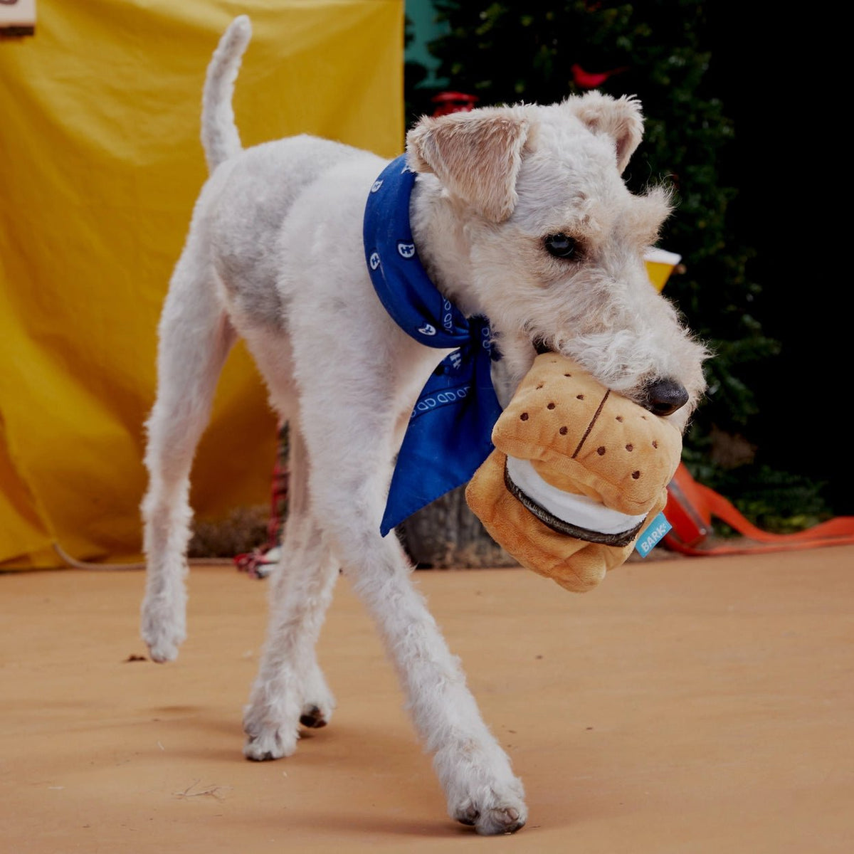 More S'mores Plush Dog Toy - Eva Pet - BARK