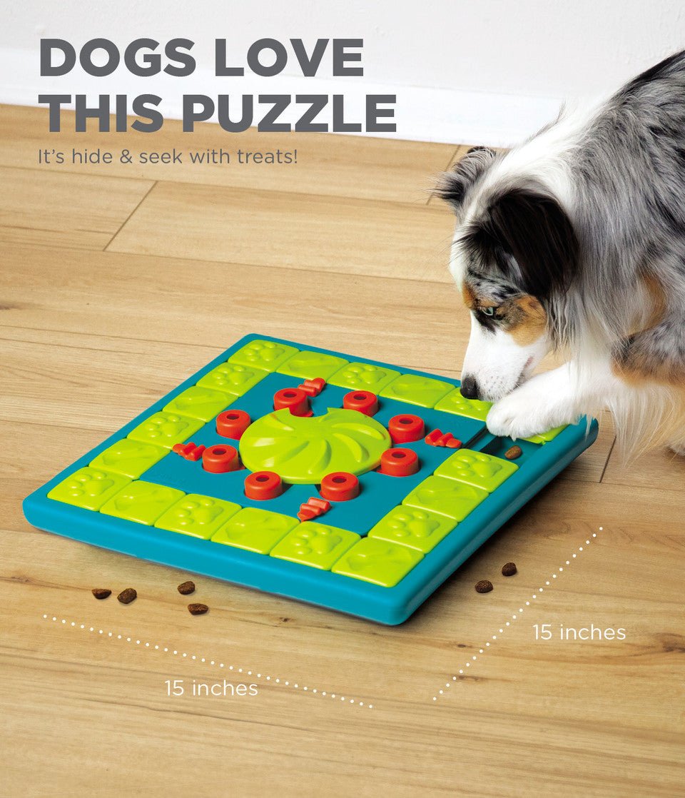 MultiPuzzle Interactive Dog Treat Puzzle Toy, Blue - Eva Pet - Outward Hound