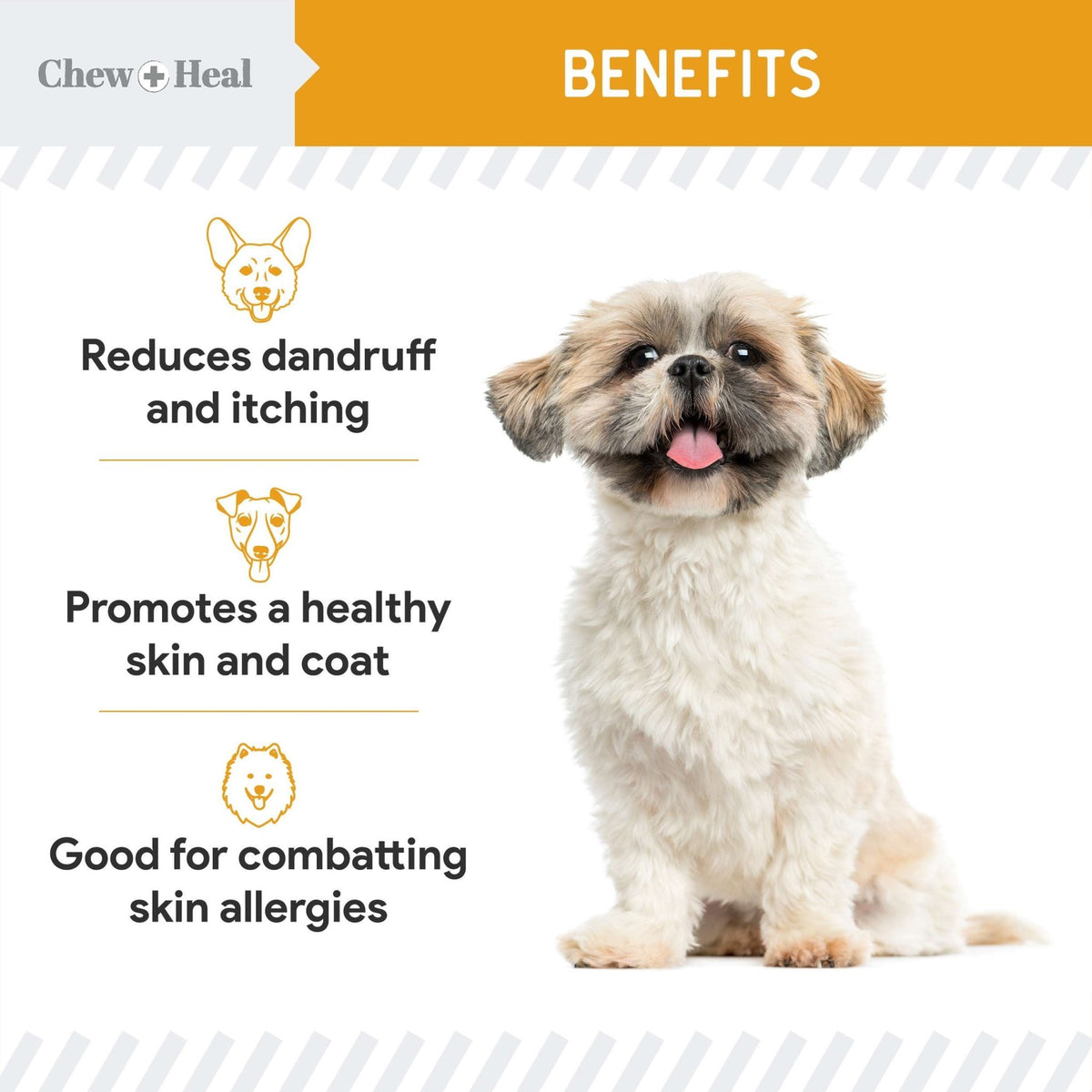 Norwegian Salmon Oil Skin & Coat Supplement for Dogs & Cats - Eva Pet - Chew + Heal