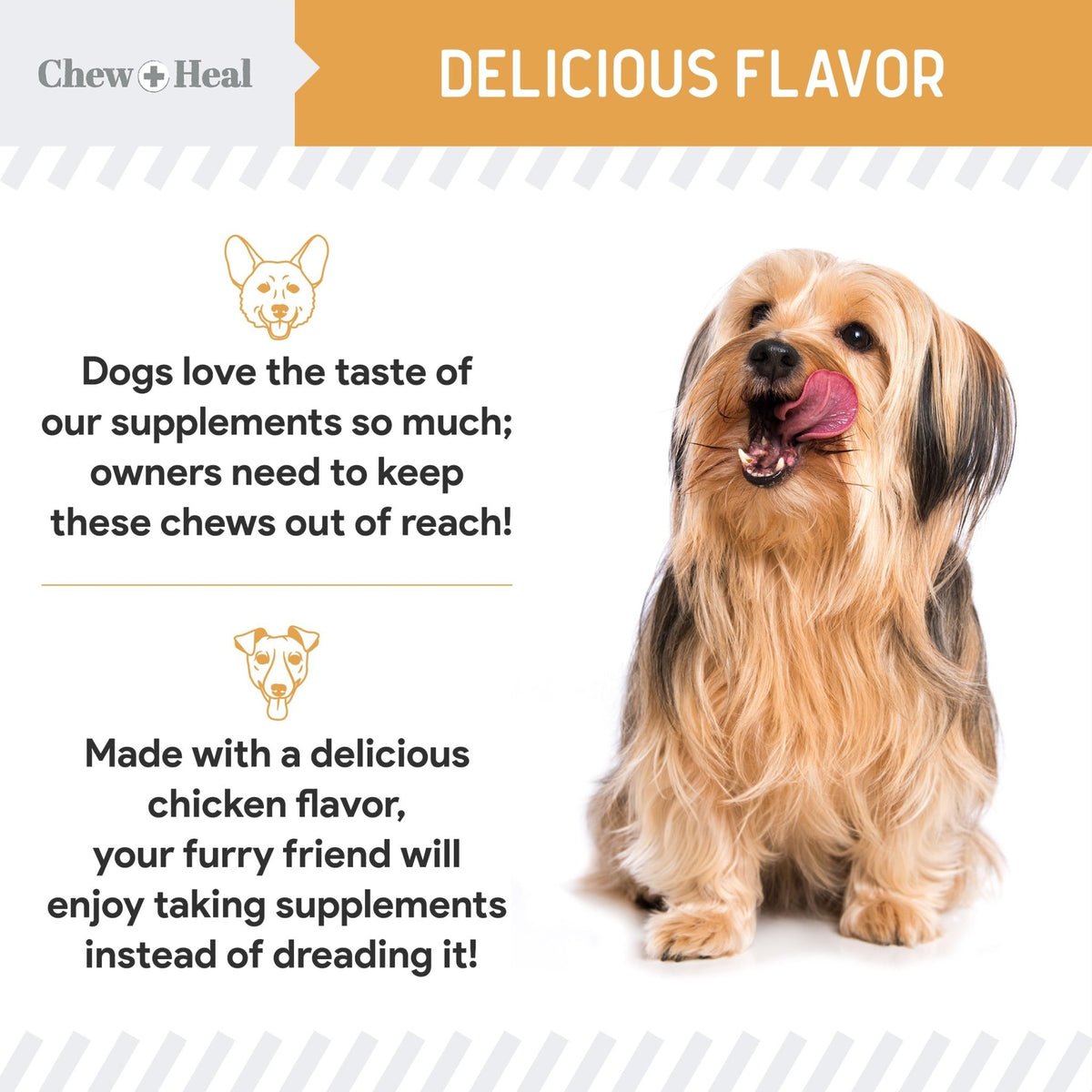 Omega Skin + Coat Dog Supplement - Eva Pet - Chew + Heal