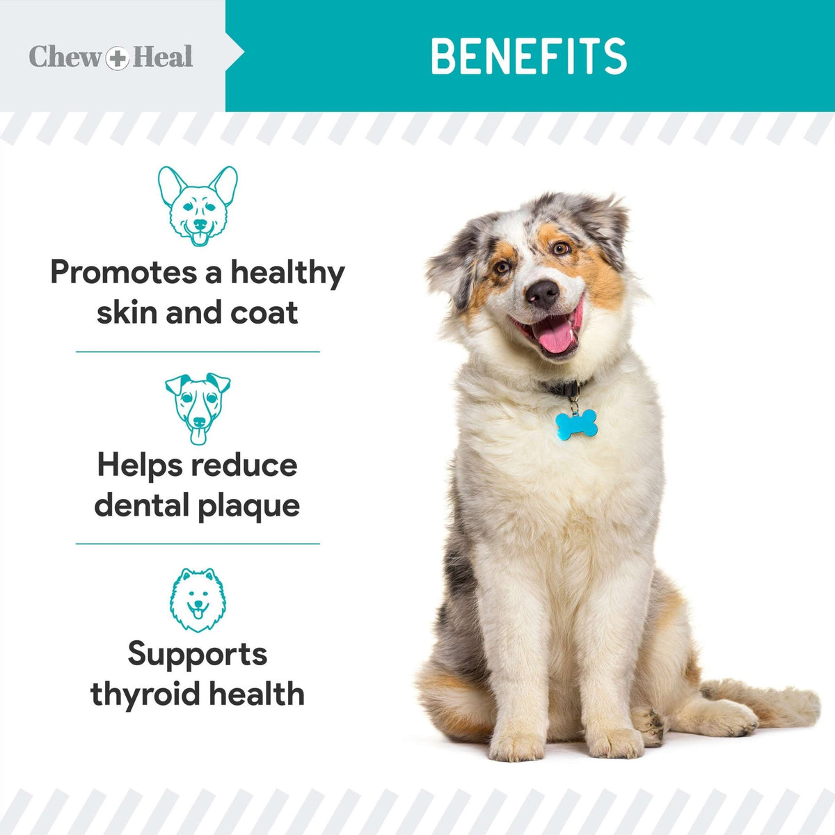 Organic Kelp Marine Superfood Granules Dental Supplement for Dogs - Eva Pet - Chew + Heal