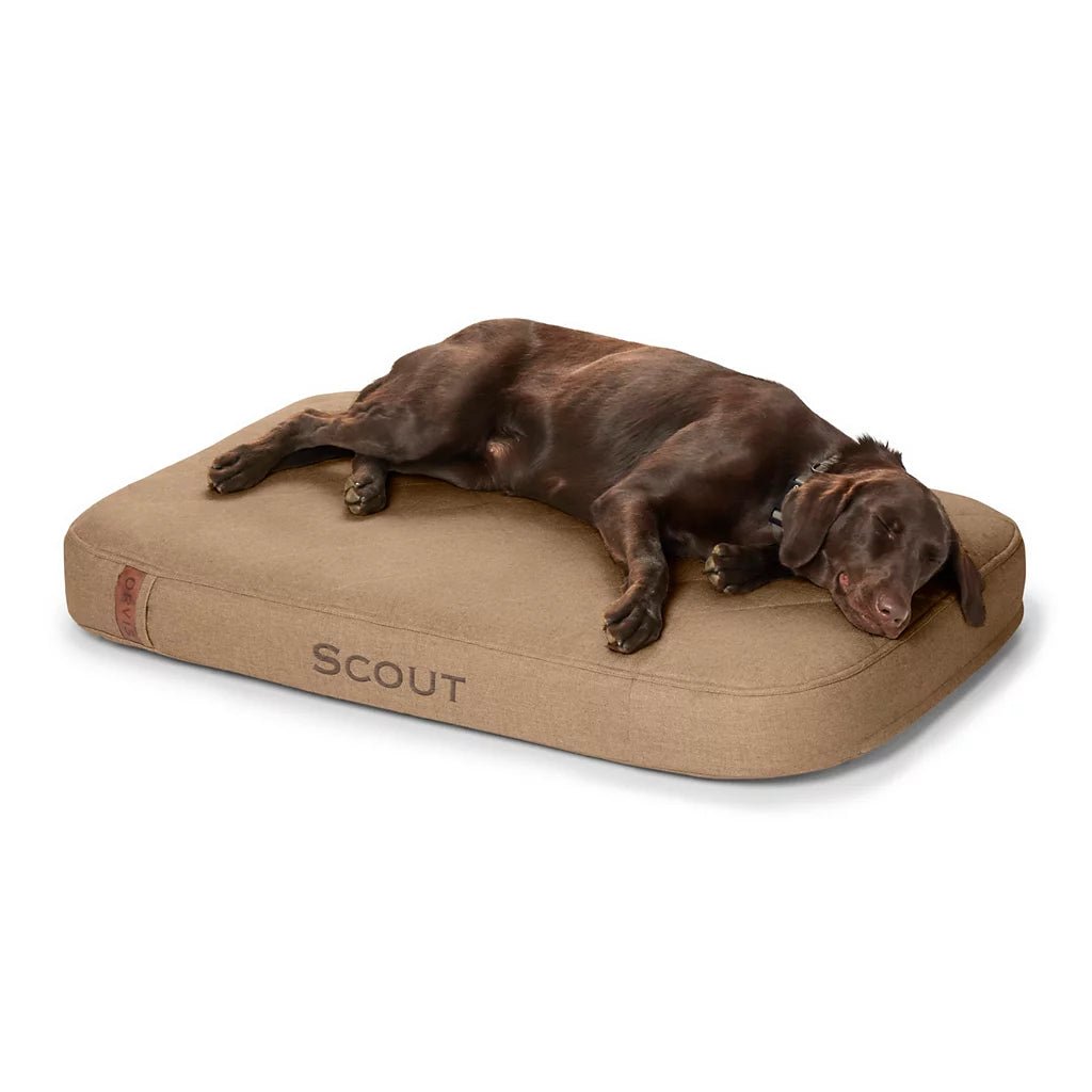 Orvis RecoveryZone® ToughChew® Lounger Dog Bed - Eva Pet - Orvis