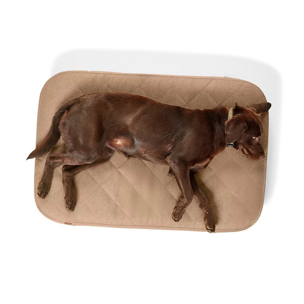 Orvis RecoveryZone® ToughChew® Lounger Dog Bed - Eva Pet - Orvis