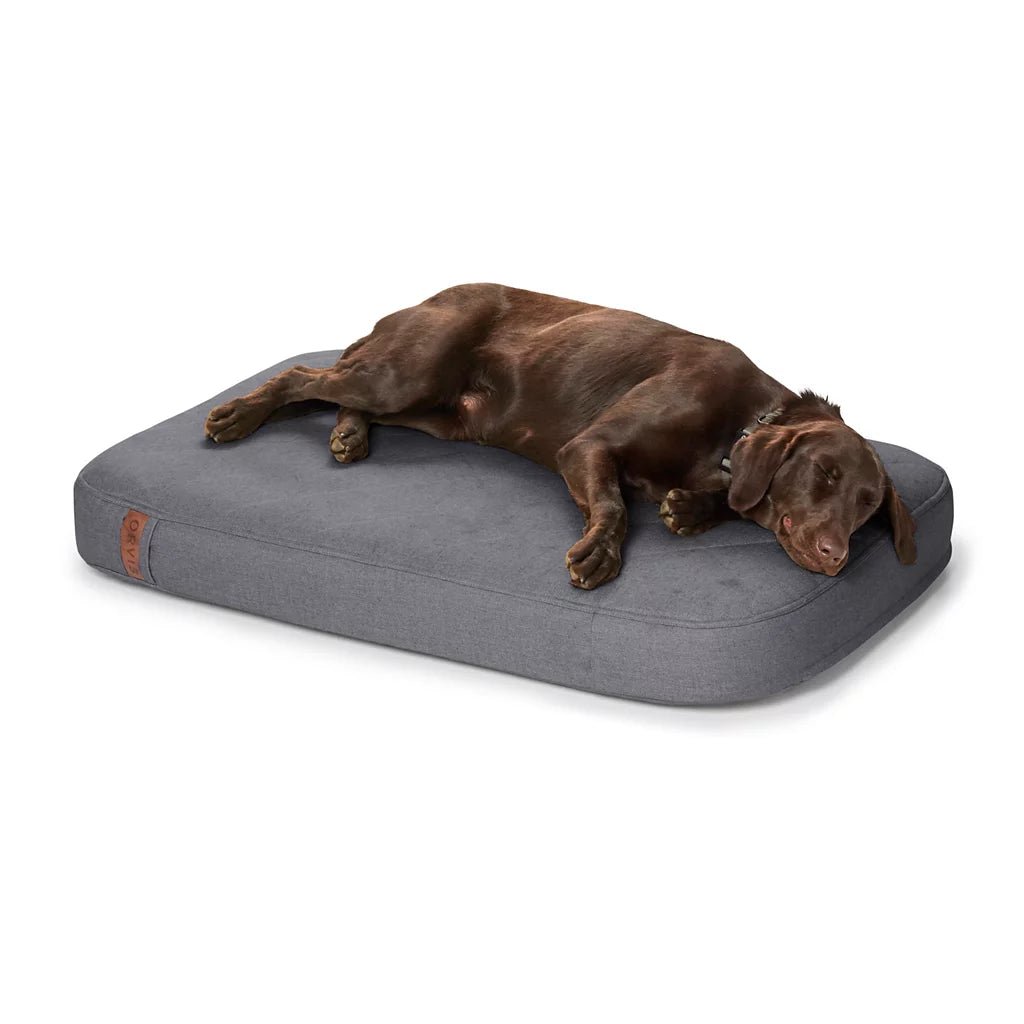 Orvis RecoveryZone® ToughChew® Lounger Dog Bed - Eva Pet - Orvis