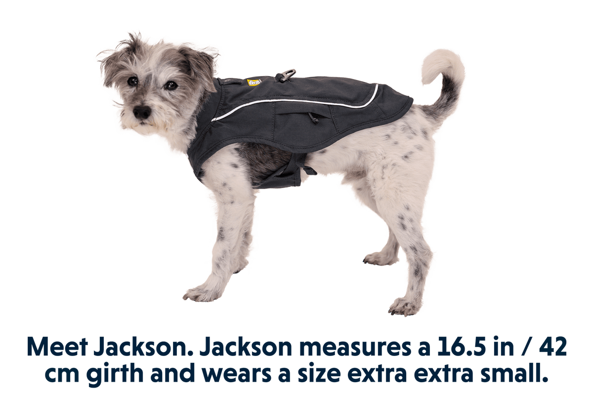 Overcoat Fuse™ Dog Jacket - Eva Pet - Ruff Wear Inc.