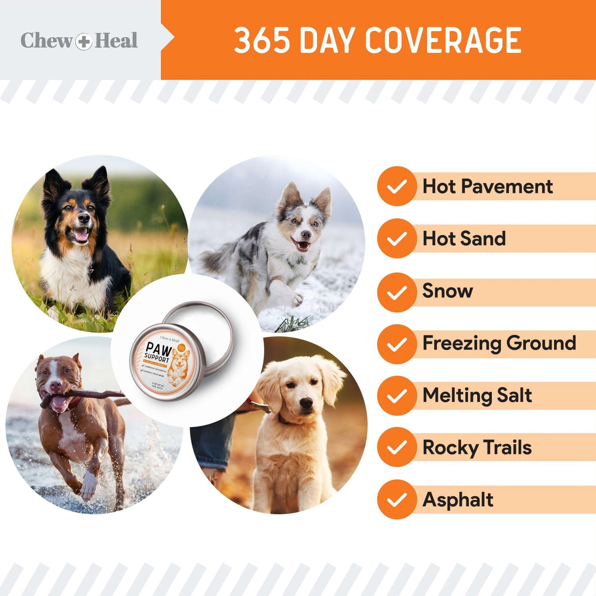 Paw Support Revitalizing Dog Paw Balm - Eva Pet - Chew + Heal