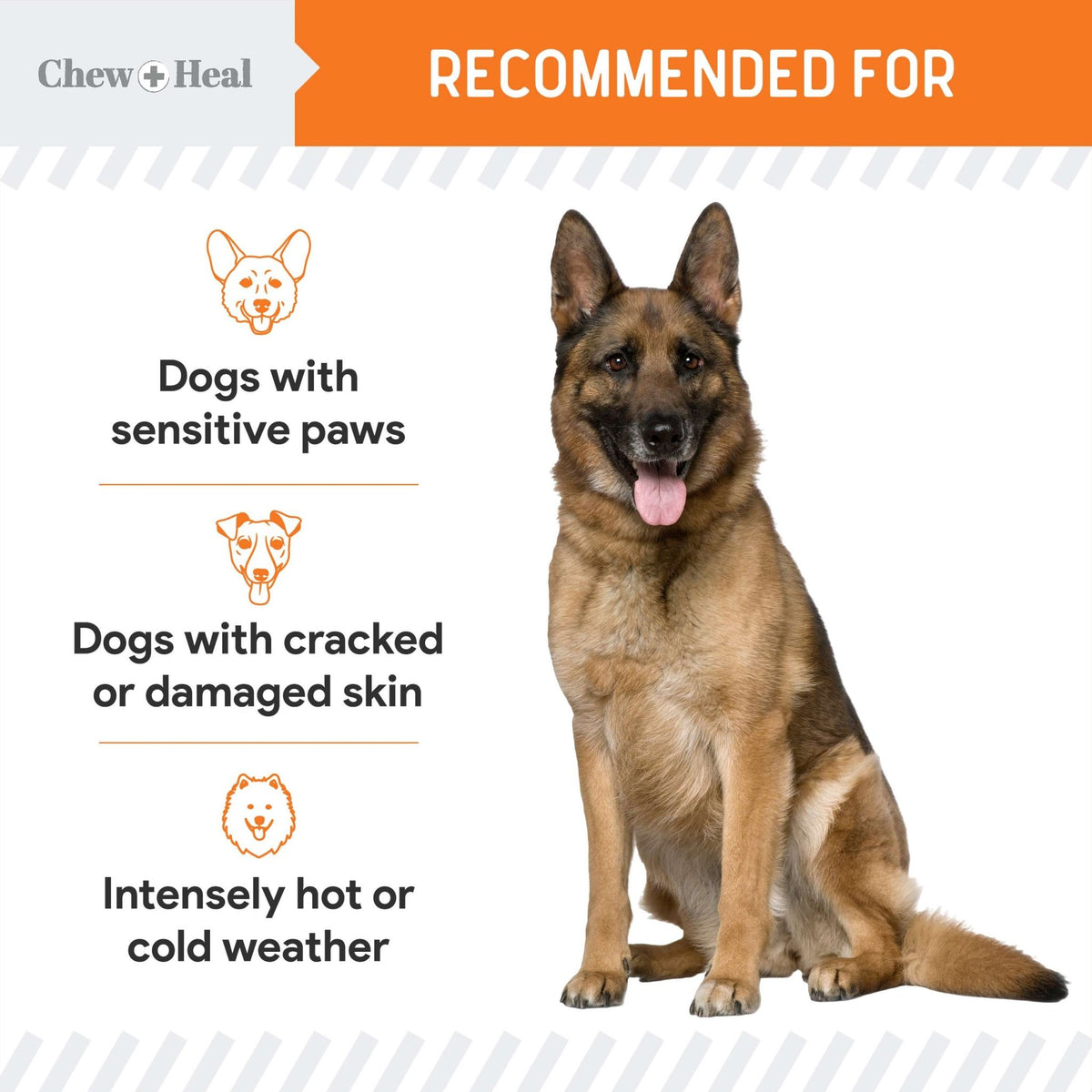 Paw Support Revitalizing Dog Paw Balm - Eva Pet - Chew + Heal