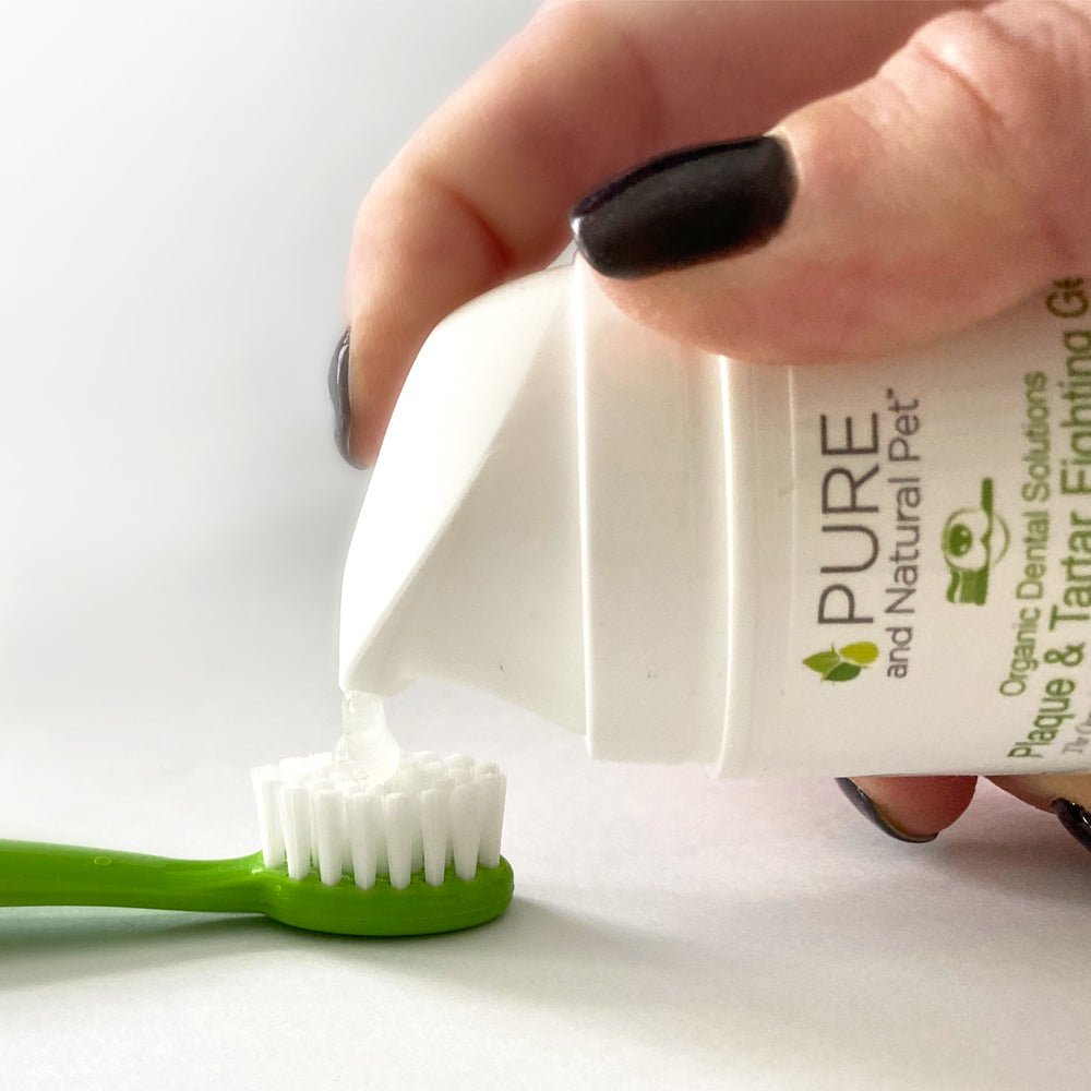 Plaque & Tartar Fighting Gel for Dogs (Clean Mint) - Organic Dental Solutions - Eva Pet - Pure and Natural Pet