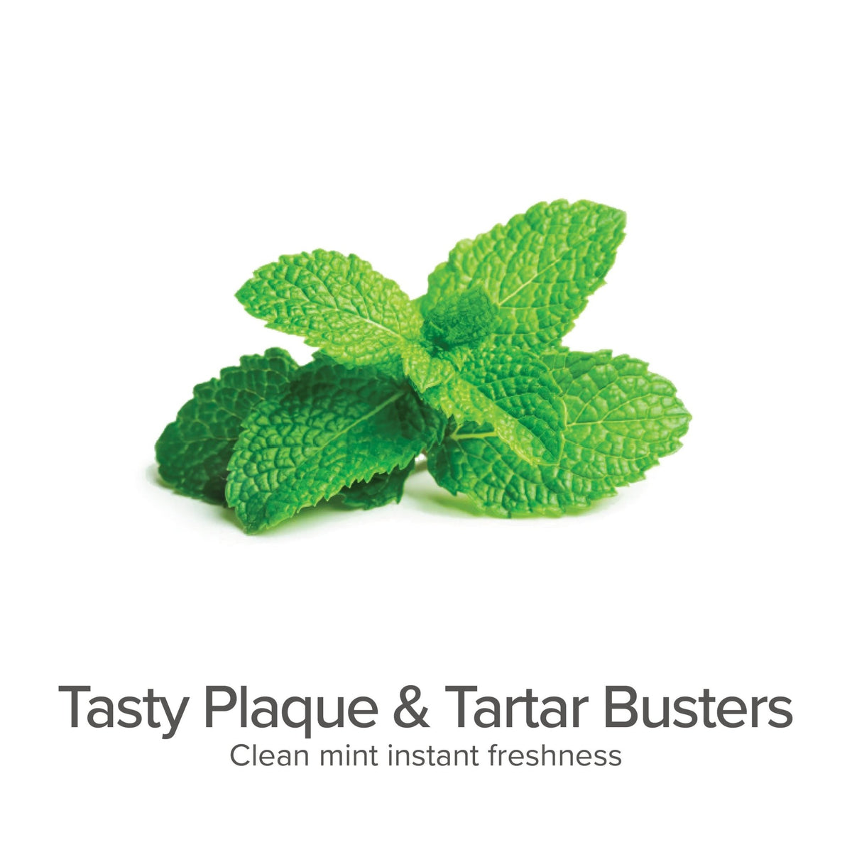 Plaque & Tartar Fighting Gel for Dogs (Clean Mint) - Organic Dental Solutions - Eva Pet - Pure and Natural Pet
