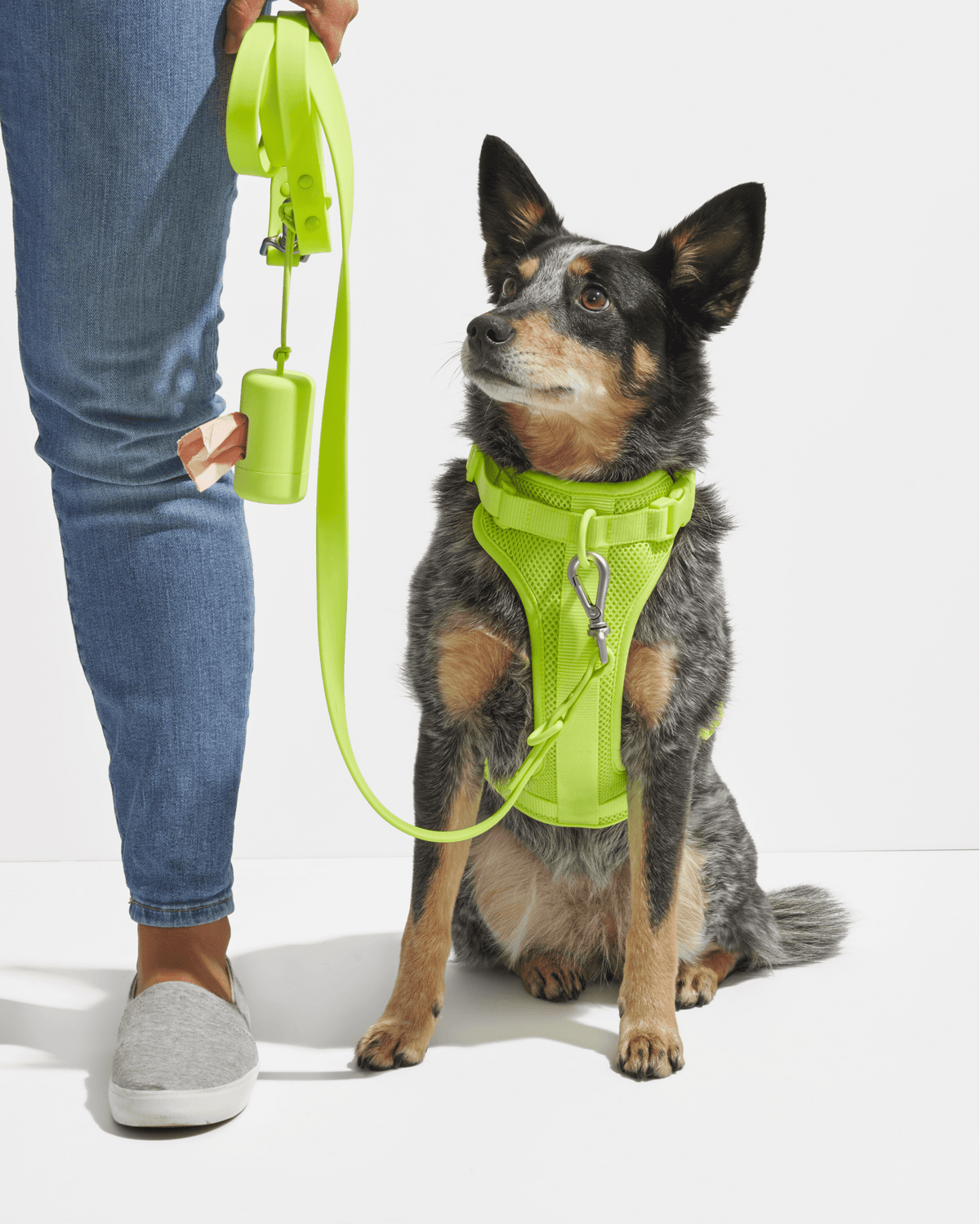 Poop Bag Carrier - Eva Pet - Wild One