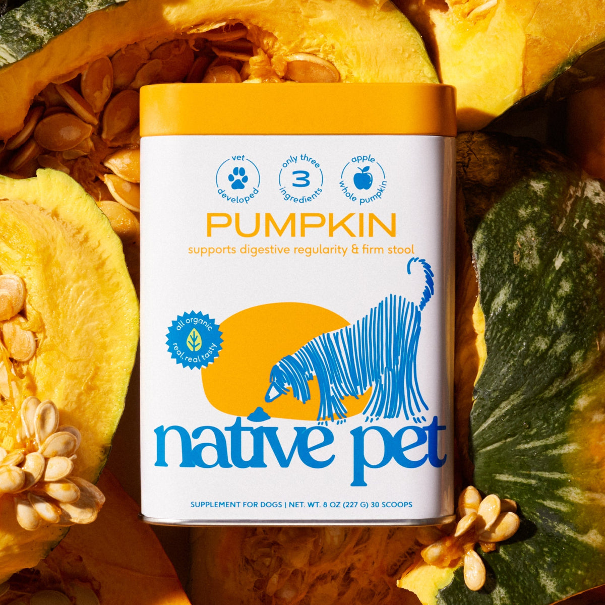 PUMPKIN - Eva Pet - Native Pet