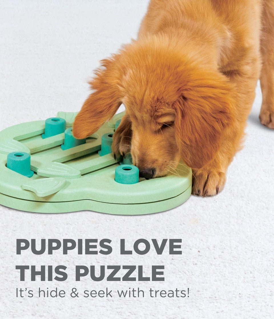 Puppy Hide N' Slide Interactive Treat Puzzle Dog Toy, Green - Eva Pet - Outward Hound