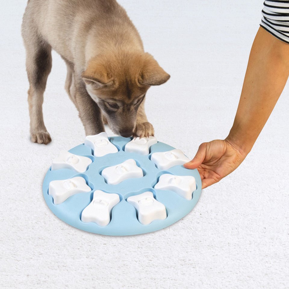 Puppy Smart Interactive Treat Puzzle Dog Toy, Blue - Eva Pet - Outward Hound