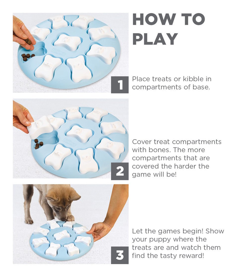 Puppy Smart Interactive Treat Puzzle Dog Toy, Blue - Eva Pet - Outward Hound