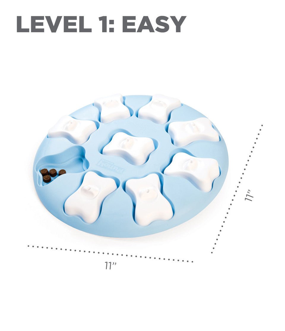 Puppy Smart Interactive Treat Puzzle Dog Toy, Blue - Eva Pet - Outward Hound