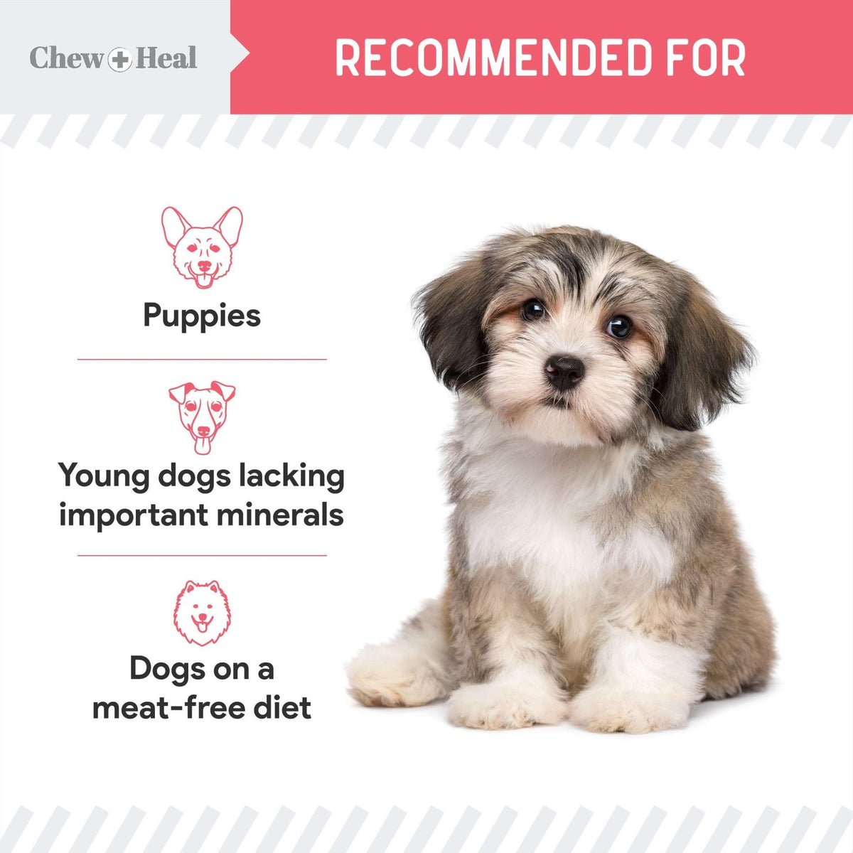 Puppy Soft 'N Yummy Wild Alaskan Salmon Limited Ingredient Jerky Dog Treats - Eva Pet - Chew + Heal