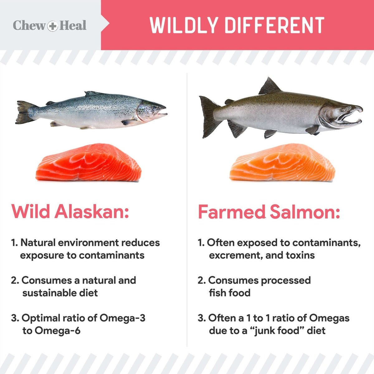 Puppy Soft 'N Yummy Wild Alaskan Salmon Limited Ingredient Jerky Dog Treats - Eva Pet - Chew + Heal