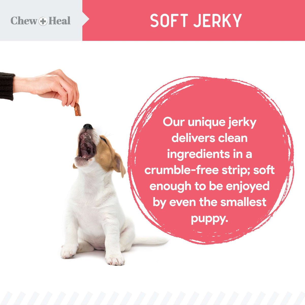 Puppy Soft 'N Yummy Wild Alaskan Salmon Limited Ingredient Jerky Dog Treats - Eva Pet - Chew + Heal