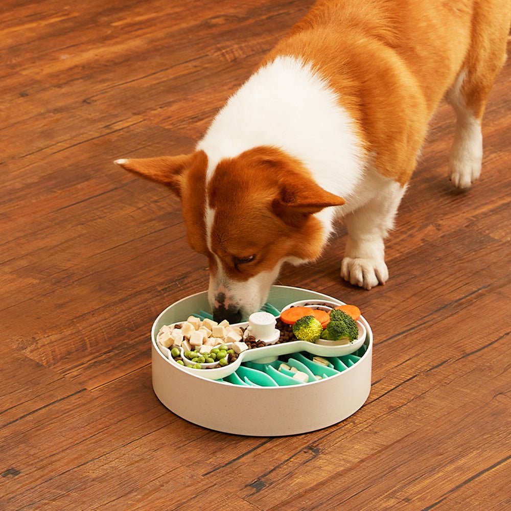 Puzzle Feeder™ Wave - Slower than a Slow Feeder - For Dogs (Green) - Eva Pet - Puzzle Feeder™