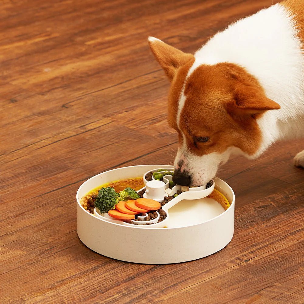 Puzzle Licker Maze - Triple Textures, Triple Fun (Yellow) - Eva Pet - Puzzle Feeder™