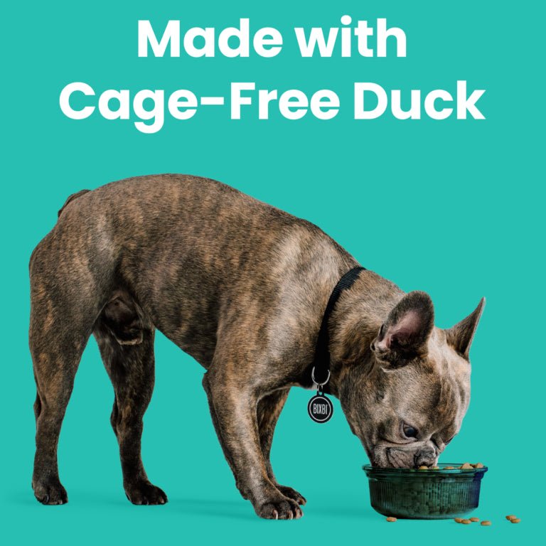 Rawbble® Dry Food for Dogs – Duck Recipe - Eva Pet - Bixbi