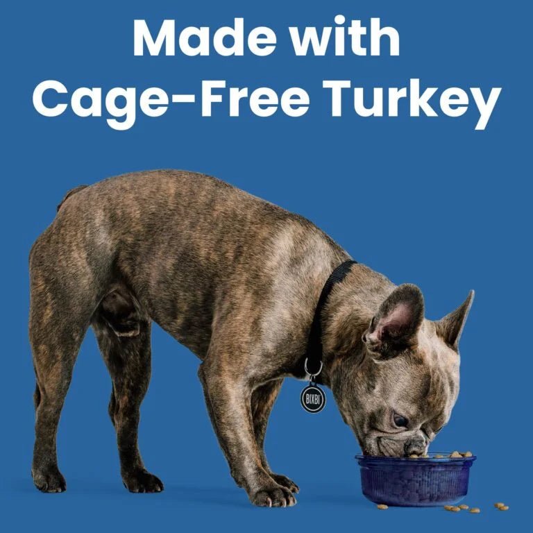 Rawbble® Dry Food for Dogs – Turkey Recipe - Eva Pet - Bixbi