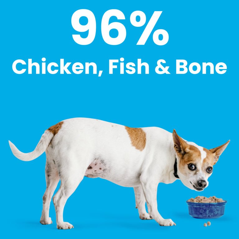 Rawbble® Freeze - Dried Food for Dogs – Chicken & Salmon Recipe - Eva Pet - Bixbi