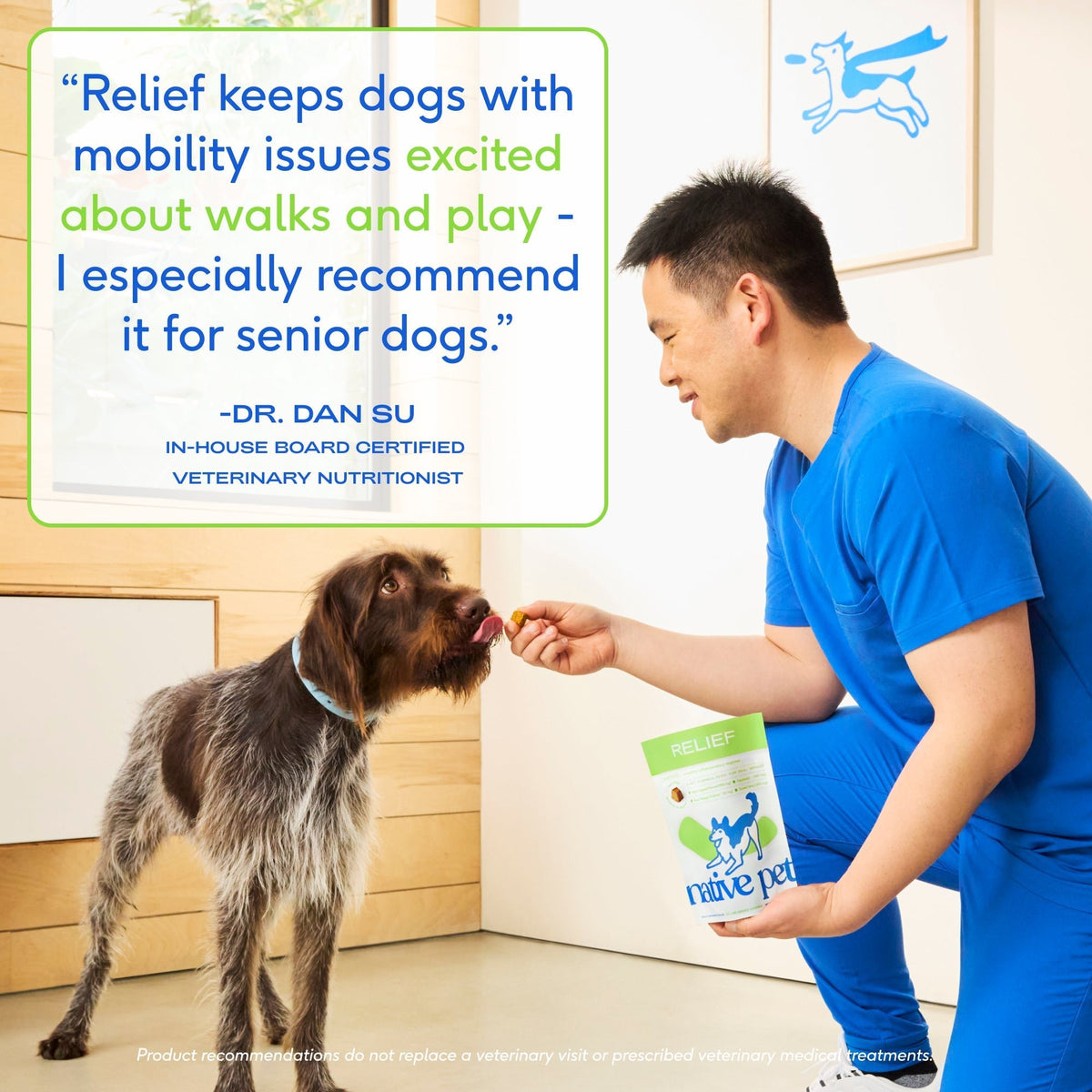 RELIEF CHEWS - Eva Pet - Native Pet
