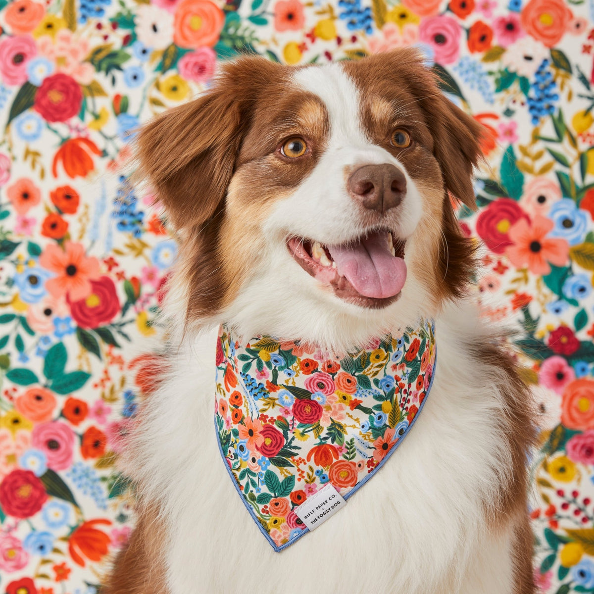 Rifle Paper Co. x TFD Garden Party Dog Bandana - Eva Pet - The Foggy Dog