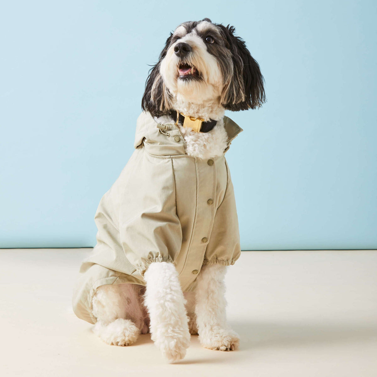 Sage Dog Raincoat - Eva Pet - The Foggy Dog
