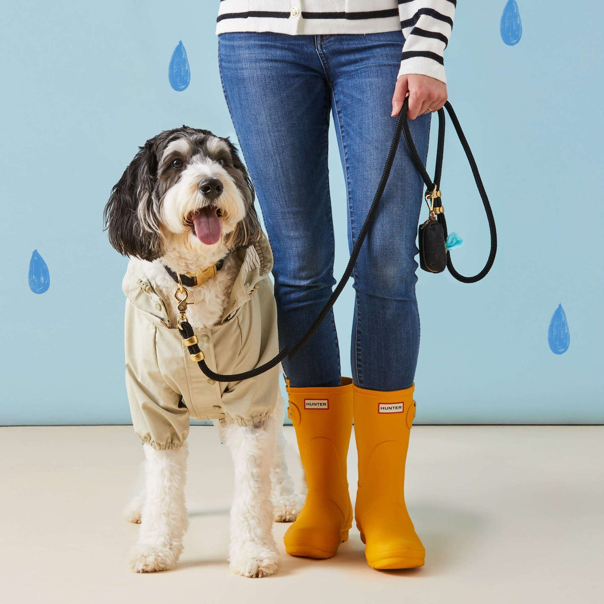 Sage Dog Raincoat - Eva Pet - The Foggy Dog