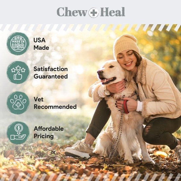 Senior Hip & Joint Dog Supplement - Eva Pet - Chew + Heal
