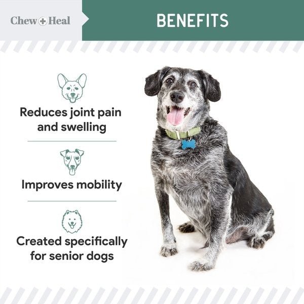 Senior Hip & Joint Dog Supplement - Eva Pet - Chew + Heal