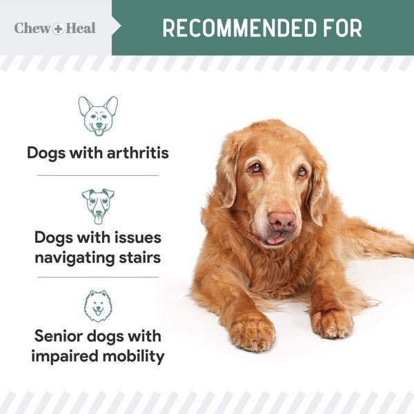 Senior Hip & Joint Dog Supplement - Eva Pet - Chew + Heal