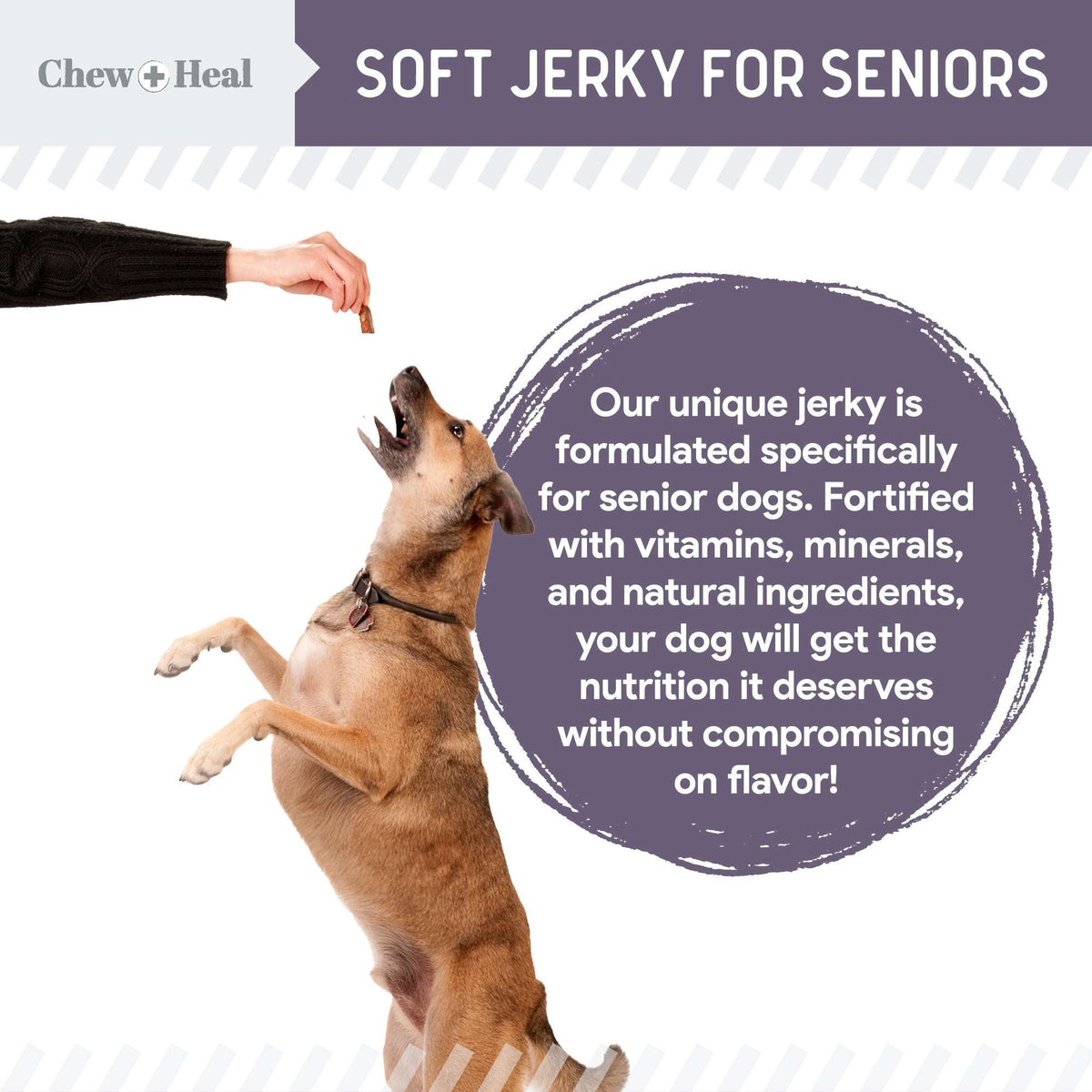 Senior Wild Alaskan Salmon Limited Ingredient Soft Jerky Dog Treats - Eva Pet - Chew + Heal